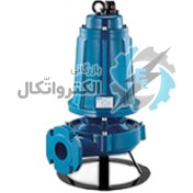 تصویر پمپ لجن کش پنتاکس چدنی خردکن دار DTRT 1000 