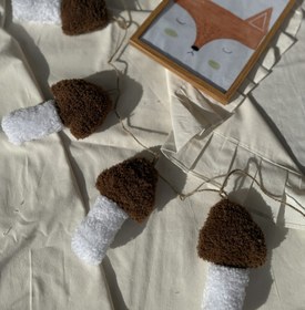 تصویر ریسه قارچ تدی 