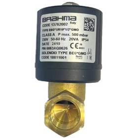 تصویر شیر براهما مدل 1/2 