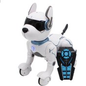 تصویر ربات اسباب بازی سگ کنترلی مدل Remote Control Robot LEIDY DOG Toy A001_اسباب بازی 