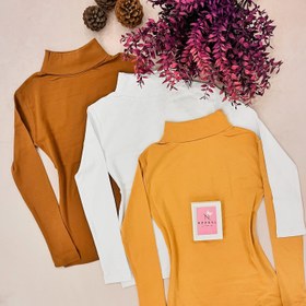 تصویر بلوز یقه اسکی زنانه 