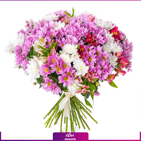 خرید و قیمت دسته گل داوودی و آلستر | ترب