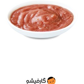 تصویر پودینگ گربه ونپی طعم اردک و کدو 90 گرم (انگلیسی نویس) Wanpy Pudding Duck & Pumpkin 90g