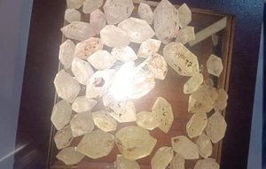 تصویر فروشگاه علی دور