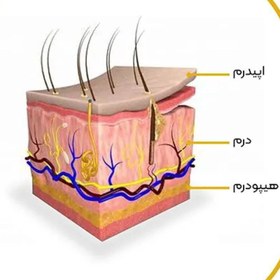 تصویر آموزش،دوره مجازی پلاژن تراپی Pollagen Theraphy