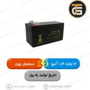 تصویر باتری 12 ولت 1/3 آمپر دانوک DANOOK محصول چین 