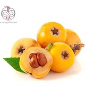 تصویر نهال ازگیل ژاپنی ۳ ساله دو فصله 