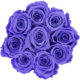 تصویر Lavender Eternal Roses in Coco Small Flocked Box | کد: ZNB-1J9M 