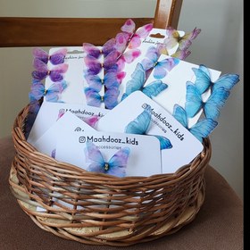 تصویر گیره ی مو پروانه 