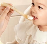 تصویر قاشق سیلیکونی قابدار خرگوشی طرح هیروشی 