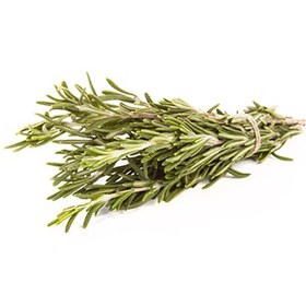 تصویر رزماری عمده 