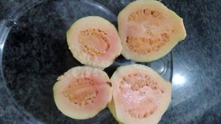 تصویر میوه گواوا یا زیتون محلی 