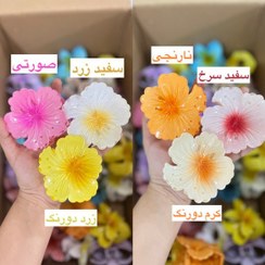 تصویر کلیپس ژورنالی گل 