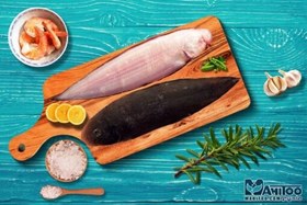 تصویر ماهی زبان 