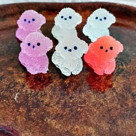 تصویر قالب هاپو 