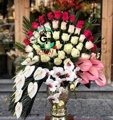 تصویر جام گل دالیا 