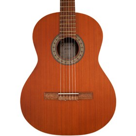 تصویر گیتار پارسی P40 سایز ۴/۴ 