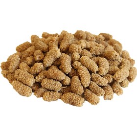 تصویر توت خشک ممتاز 