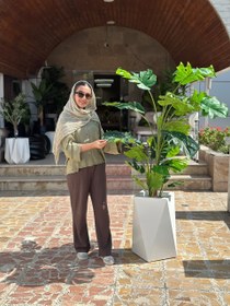 تصویر درختچه برگ انجیری 