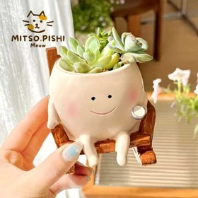 تصویر گلدان صندلی راک 