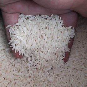 تصویر برنج دم سیاه آستانه-درجه 1-100درصد خالص-5کیلویی-مستقیم از کارخانه(پس کرایه) 