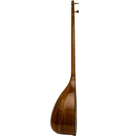 تصویر تمبور مفاخری 