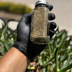 تصویر زیره سبز 