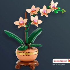 تصویر لگو مینی ارکیده ۱۰۳۴۳ با ۲۷۴ قطعه 