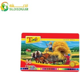 تصویر مداد رنگی 36رنگ جعبه فلزی لاک پشت Turtle 