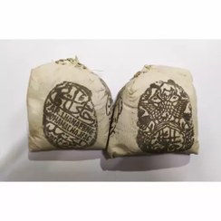 تصویر حنا سلطانی اصل 