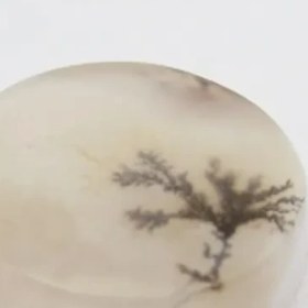 تصویر سنگ شجر کد 2316 