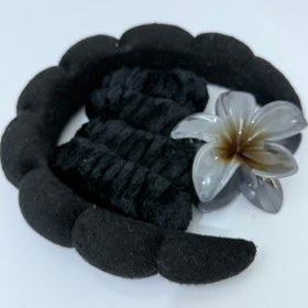 تصویر ست تل پلومریا 