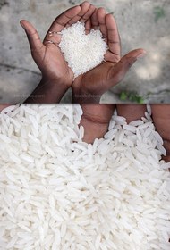 تصویر عکس برنج نیم دانه با کیفیت 