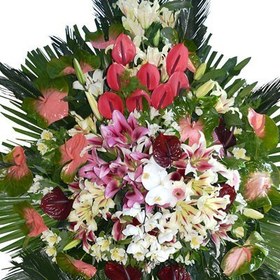 تصویر تاج گل سانا 