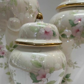 تصویر جینجرجار رومنس صدفی 