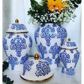 تصویر جینجر جار 