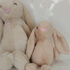 تصویر عروسک پولیشی خرگوش جیلی کت 