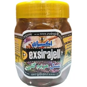 تصویر عسل مریم‌گلی ارگانیک | نیم کیلویی 