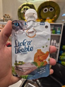 تصویر پودینگ گناولرز 