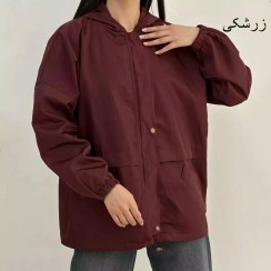 تصویر بارانی وینی 1008099 