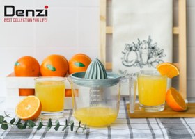 تصویر آبمیوه‌گیر سارینا 