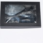 تصویر آینه موتور سیکلت بنلی اسپرت 