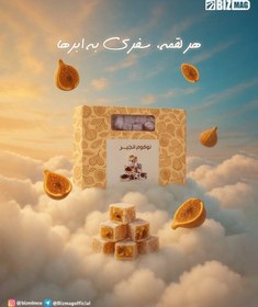 تصویر لوکوم انجیر بیز 