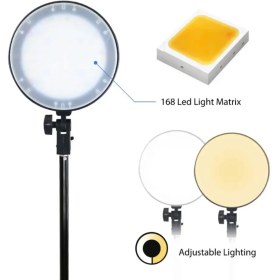 تصویر پروژکتور 100 وات Diamond SMD Projector T019 