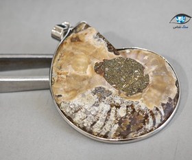 تصویر فسیل آمونیت زیبا 11.2 گرم 