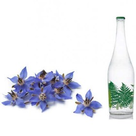 تصویر عرق گل گاوزبان زرگل 