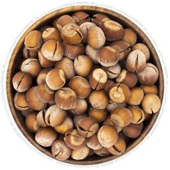 تصویر فندق خام raw hazelnut