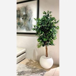 تصویر درختچه مصنوعی بنجامین ارتفاع 180 