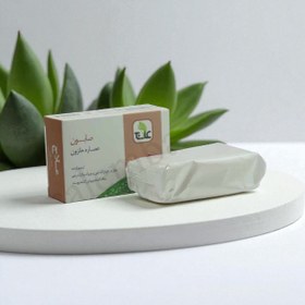 تصویر صابون حلزون علاج وزن ۱۰۰ گرم 
