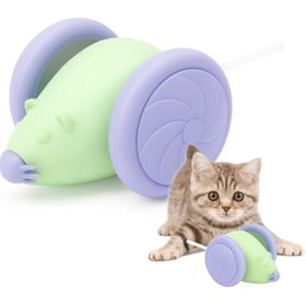 تصویر موش هوشمند گربه | Smart Cat Mouse Toy 